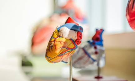 Javnozdravstvena akcija „Rano otkrivanje kardiovaskularnih bolesti