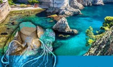 Ljetna škola MSCT koronarografije